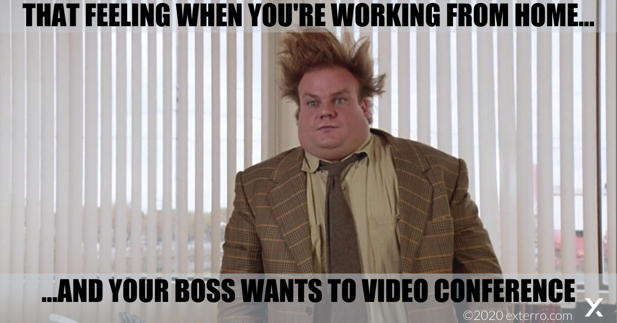 Friday Funnies: Exterro's meme series - working from home ...