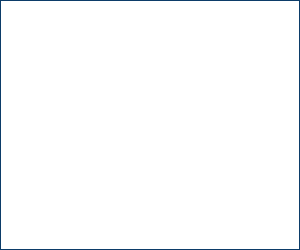 VSiD